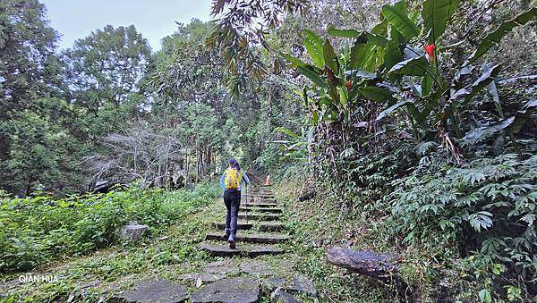 【水社大山】日月潭最高峰-伊達邵VS日月潭青年活動中心登山口