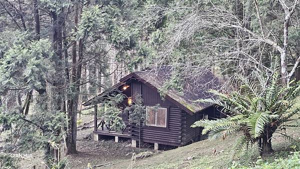 【水社大山】日月潭最高峰-伊達邵VS日月潭青年活動中心登山口