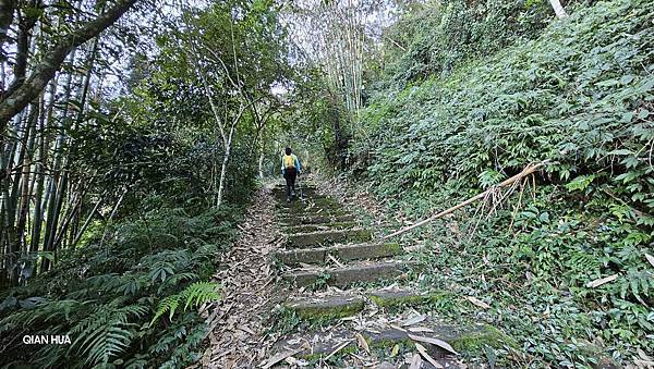 【水社大山】日月潭最高峰-伊達邵VS日月潭青年活動中心登山口