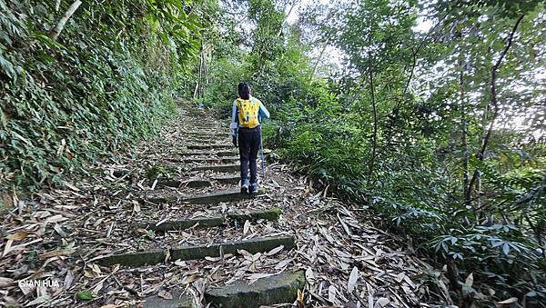 【水社大山】日月潭最高峰-伊達邵VS日月潭青年活動中心登山口