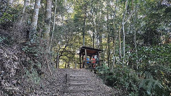 【水社大山】日月潭最高峰-伊達邵VS日月潭青年活動中心登山口