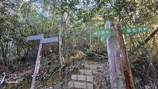 【水社大山】日月潭最高峰-伊達邵VS日月潭青年活動中心登山口