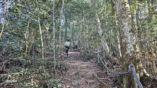 【水社大山】日月潭最高峰-伊達邵VS日月潭青年活動中心登山口