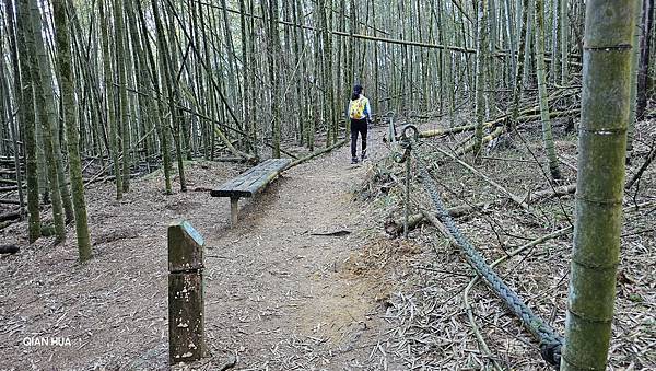 【水社大山】日月潭最高峰-伊達邵VS日月潭青年活動中心登山口