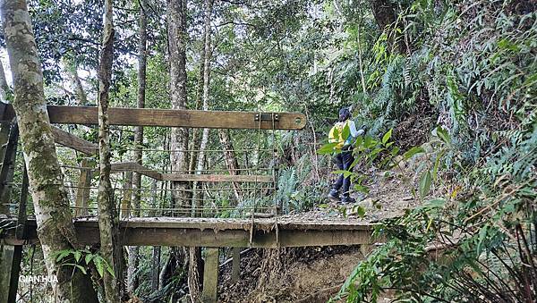 【水社大山】日月潭最高峰-伊達邵VS日月潭青年活動中心登山口