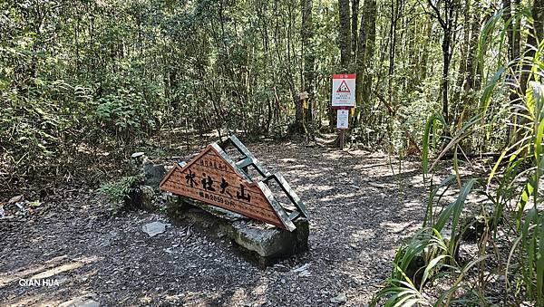 【水社大山】日月潭最高峰-伊達邵VS日月潭青年活動中心登山口