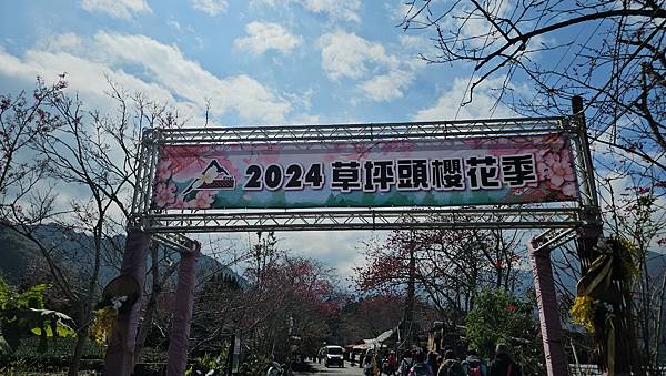 【草坪頭櫻花季】2024櫻花季正式展開，桃、李、杜鵑、油菜花