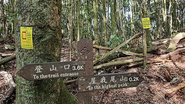 【屋東屋縱走】谷關七雄一日2雄挑戰,屋我尾/東卯山大崩壁、斷