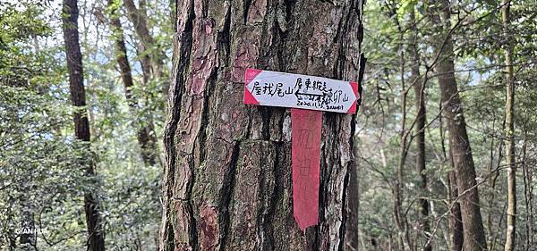 【屋東屋縱走】谷關七雄一日2雄挑戰,屋我尾/東卯山大崩壁、斷