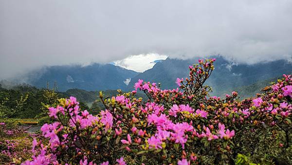 【合歡北峰】合歡山北峰，人生中第一座百岳由此開啟，夕陽、雲海