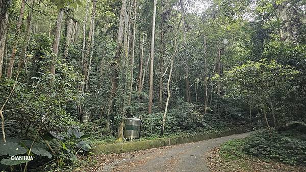 【水社大山】白石山土地公廟登山口，日月潭最高峰-明潭四秀之首