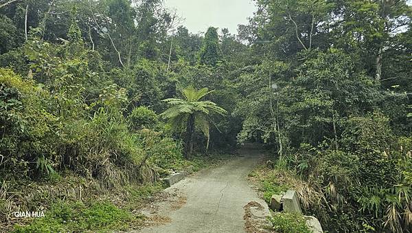【水社大山】白石山土地公廟登山口，日月潭最高峰-明潭四秀之首