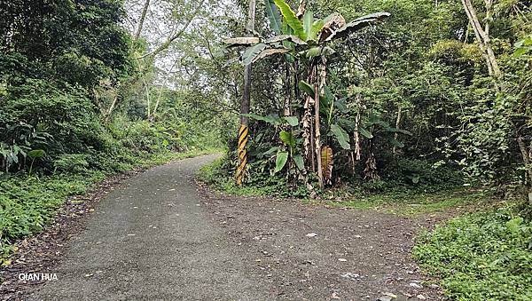 【水社大山】北陵線登山口，白石土地公O繞，挑戰日月潭最高峰-