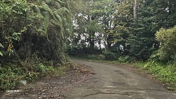 【水社大山】北陵線登山口，白石土地公O繞，挑戰日月潭最高峰-