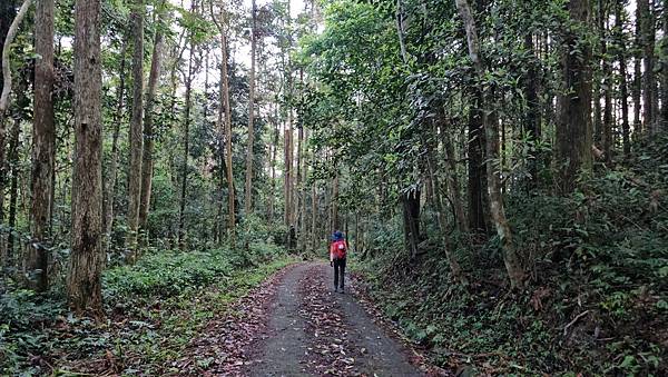 【水社大山】北陵線登山口，白石土地公O繞，挑戰日月潭最高峰-