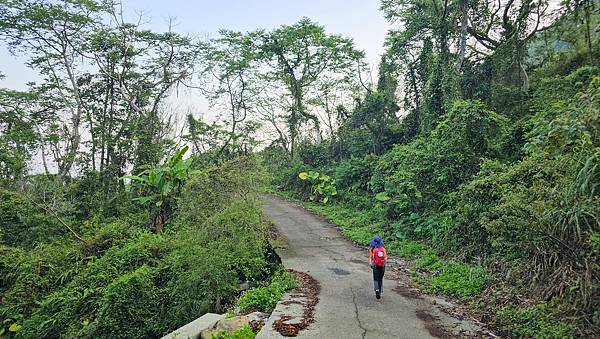 【水社大山】北陵線登山口，白石土地公O繞，挑戰日月潭最高峰-