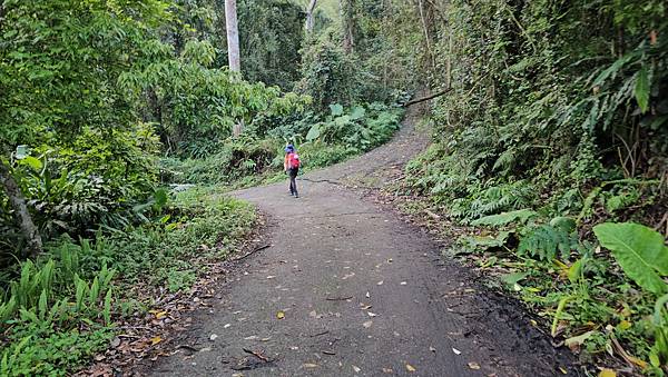 【水社大山】北陵線登山口，白石土地公O繞，挑戰日月潭最高峰-