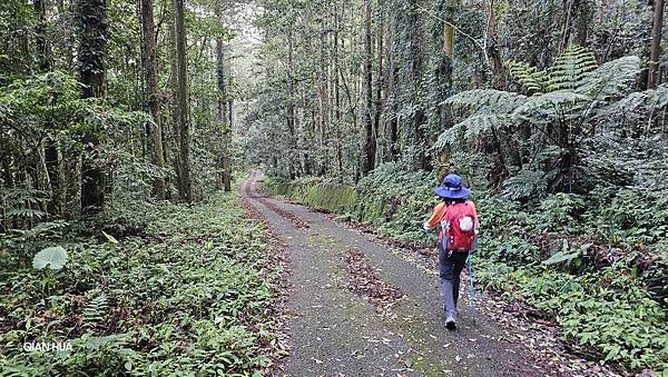 【水社大山】北陵線登山口，白石土地公O繞，挑戰日月潭最高峰-