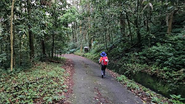 【水社大山】北陵線登山口，白石土地公O繞，挑戰日月潭最高峰-