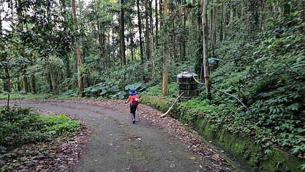 【水社大山】北陵線登山口，白石土地公O繞，挑戰日月潭最高峰-