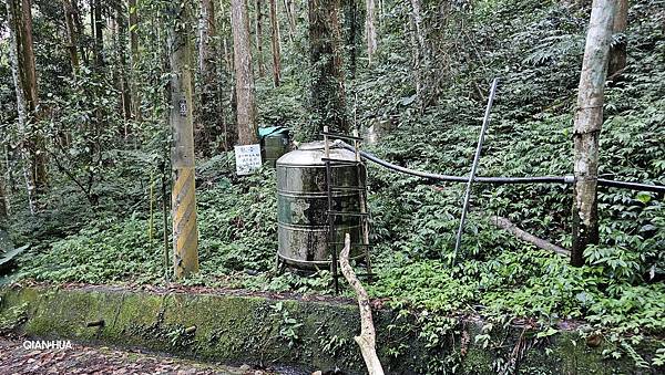 【水社大山】北陵線登山口，白石土地公O繞，挑戰日月潭最高峰-
