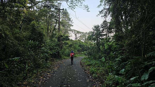 【水社大山】北陵線登山口，白石土地公O繞，挑戰日月潭最高峰-