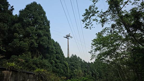 【水社大山】北陵線登山口，白石土地公O繞，挑戰日月潭最高峰-