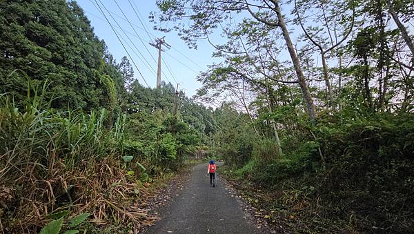 【水社大山】北陵線登山口，白石土地公O繞，挑戰日月潭最高峰-
