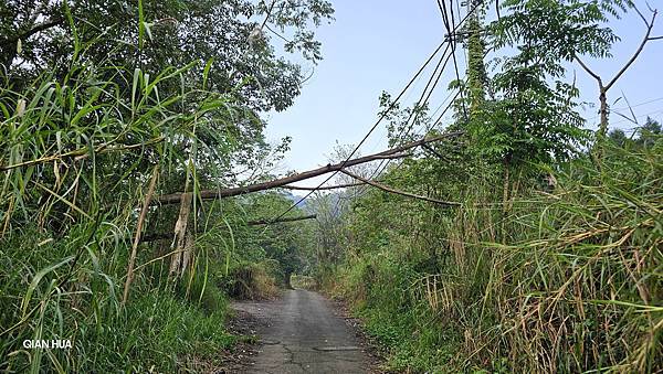 【水社大山】北陵線登山口，白石土地公O繞，挑戰日月潭最高峰-