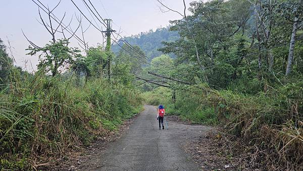 【水社大山】北陵線登山口，白石土地公O繞，挑戰日月潭最高峰-