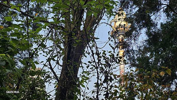 【水社大山】北陵線登山口，白石土地公O繞，挑戰日月潭最高峰-