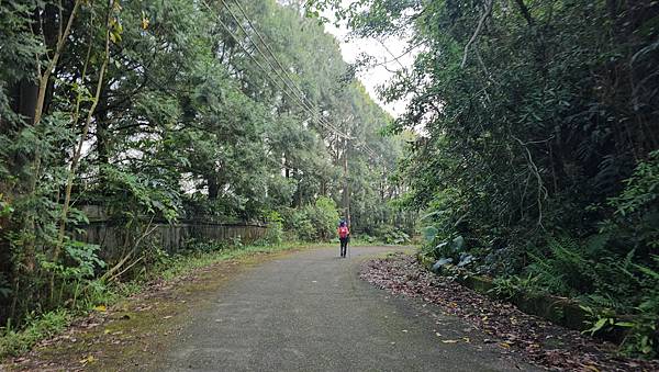 【水社大山】北陵線登山口，白石土地公O繞，挑戰日月潭最高峰-