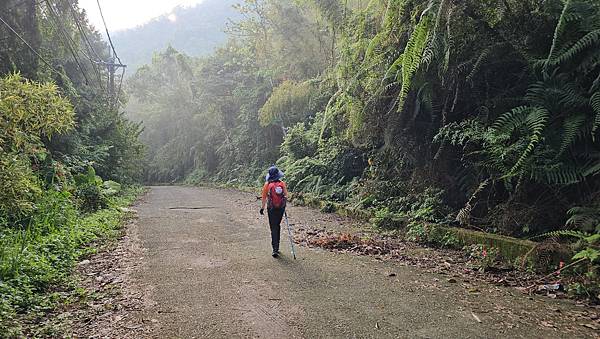 【水社大山】北陵線登山口，白石土地公O繞，挑戰日月潭最高峰-