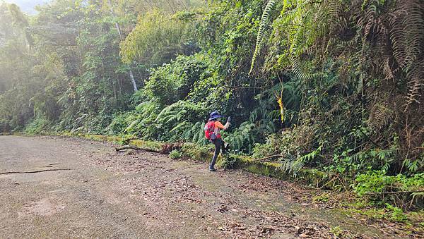 【水社大山】北陵線登山口，白石土地公O繞，挑戰日月潭最高峰-