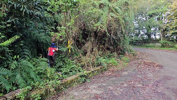 【水社大山】北陵線登山口，白石土地公O繞，挑戰日月潭最高峰-