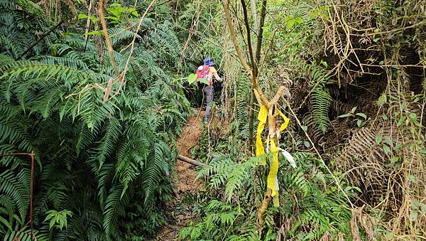 【水社大山】北陵線登山口，白石土地公O繞，挑戰日月潭最高峰-