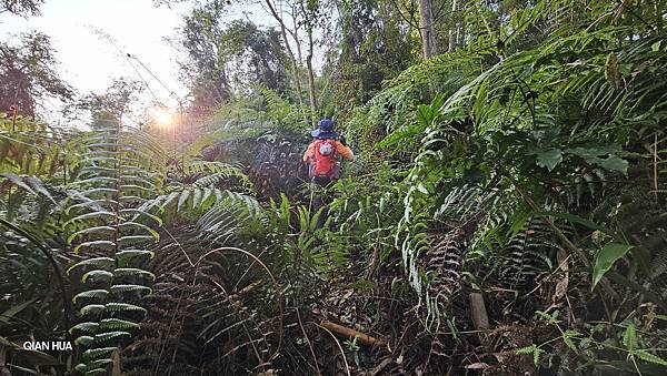 【水社大山】北陵線登山口，白石土地公O繞，挑戰日月潭最高峰-