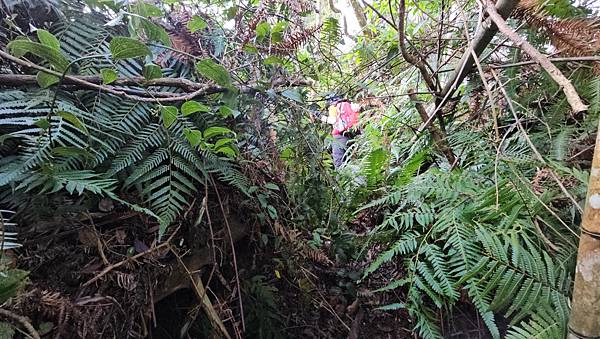 【水社大山】北陵線登山口，白石土地公O繞，挑戰日月潭最高峰-