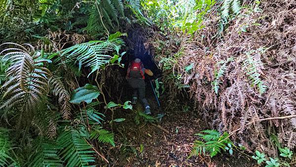 【水社大山】北陵線登山口，白石土地公O繞，挑戰日月潭最高峰-
