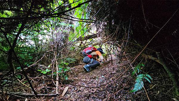 【水社大山】北陵線登山口，白石土地公O繞，挑戰日月潭最高峰-