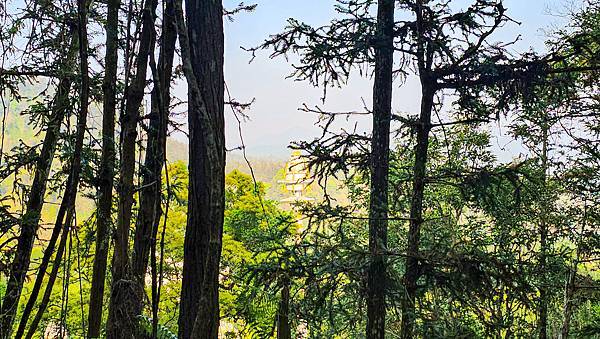 【水社大山】北陵線登山口，白石土地公O繞，挑戰日月潭最高峰-
