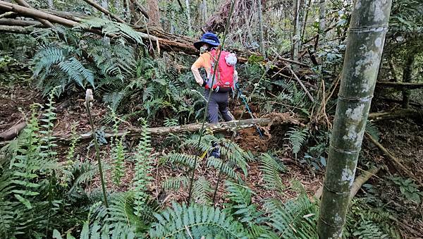 【水社大山】北陵線登山口，白石土地公O繞，挑戰日月潭最高峰-