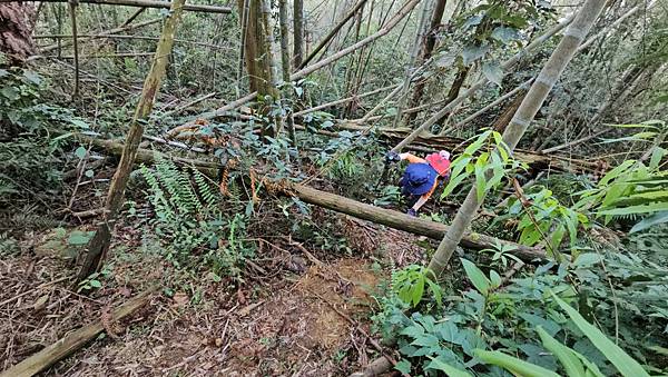 【水社大山】北陵線登山口，白石土地公O繞，挑戰日月潭最高峰-