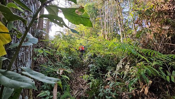 【水社大山】北陵線登山口，白石土地公O繞，挑戰日月潭最高峰-