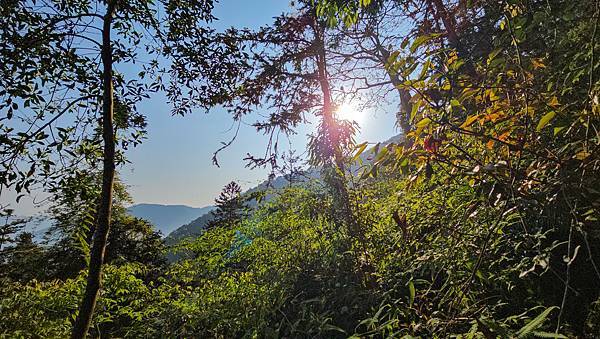 【水社大山】北陵線登山口，白石土地公O繞，挑戰日月潭最高峰-