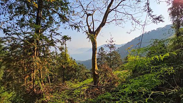 【水社大山】北陵線登山口，白石土地公O繞，挑戰日月潭最高峰-