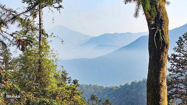 【水社大山】北陵線登山口，白石土地公O繞，挑戰日月潭最高峰-