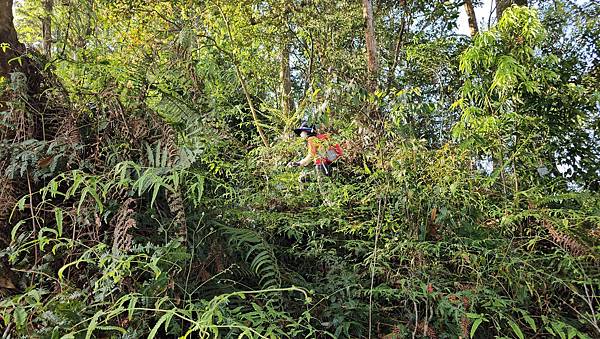 【水社大山】北陵線登山口，白石土地公O繞，挑戰日月潭最高峰-