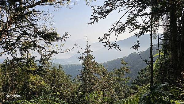 【水社大山】北陵線登山口，白石土地公O繞，挑戰日月潭最高峰-