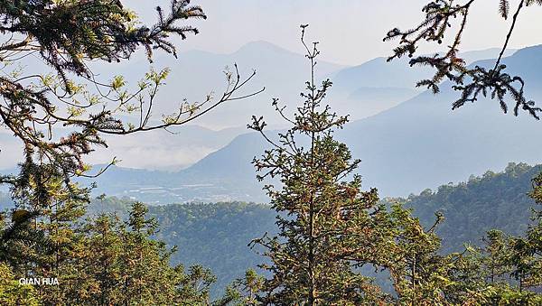 【水社大山】北陵線登山口，白石土地公O繞，挑戰日月潭最高峰-
